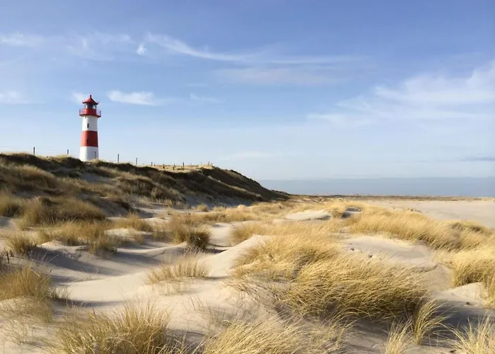 Dune Magic Suederhoern *